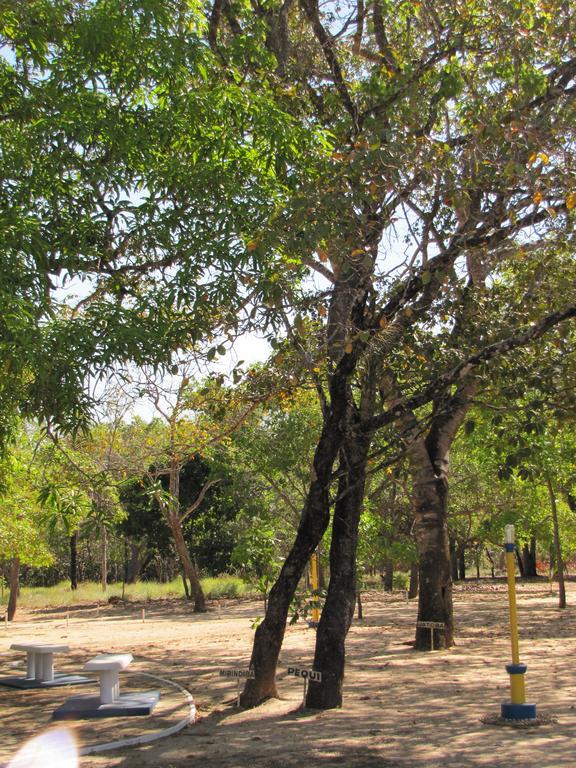 Hotel Fazenda Arara Azul كارولينا المظهر الخارجي الصورة